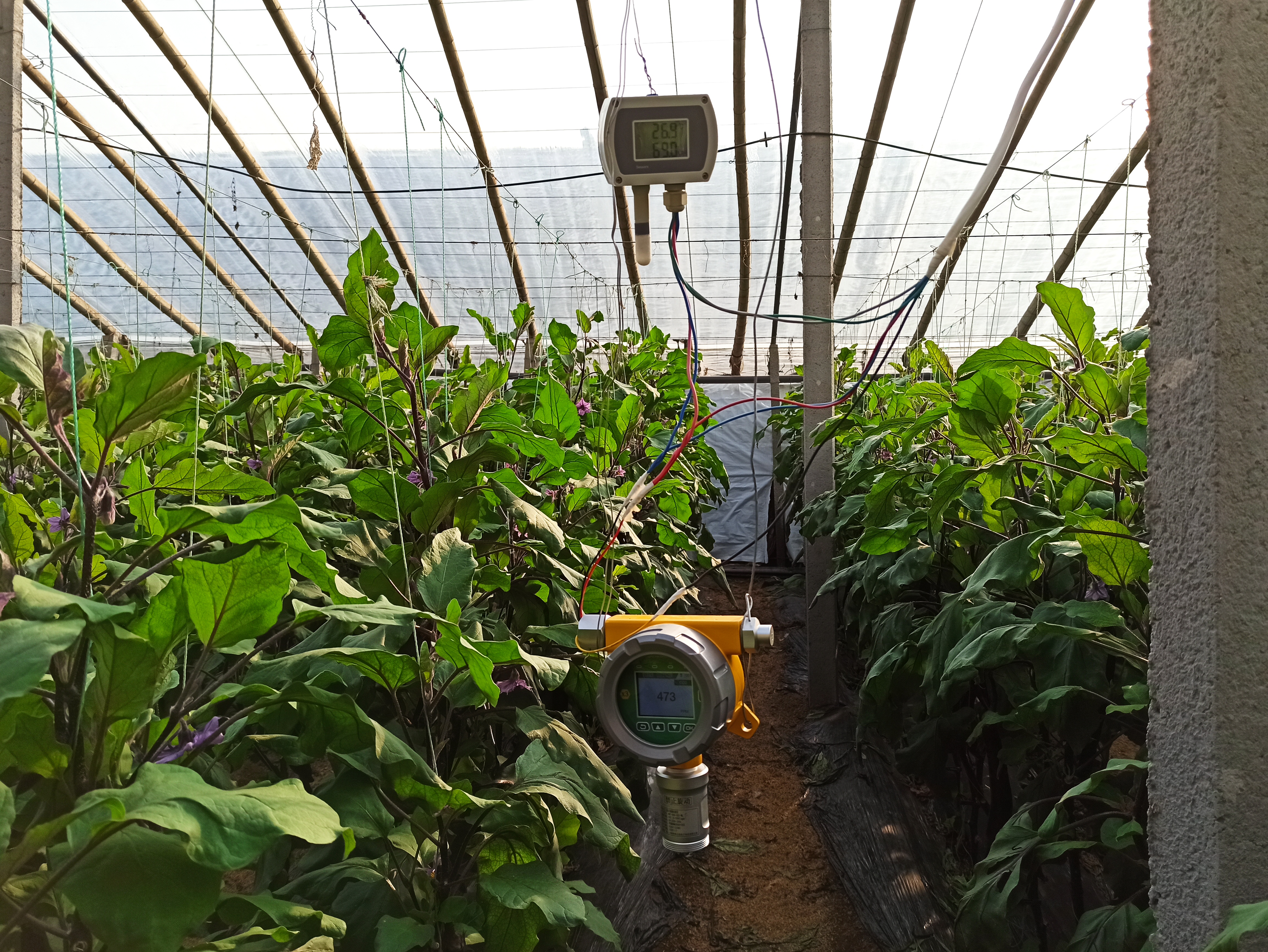 6013af70d3268.jpg 6013af70d3268.jpg